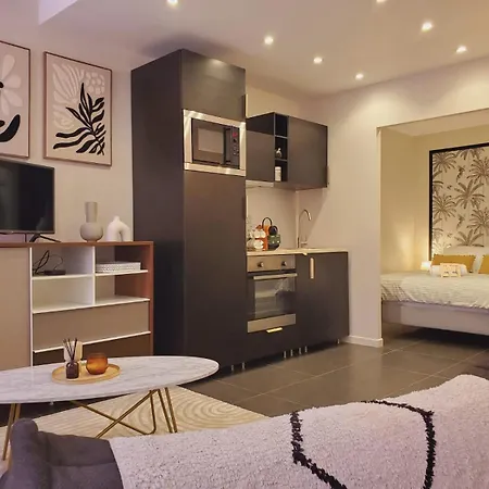 Apartament Le Petit Amandier Clim Wifi Centre