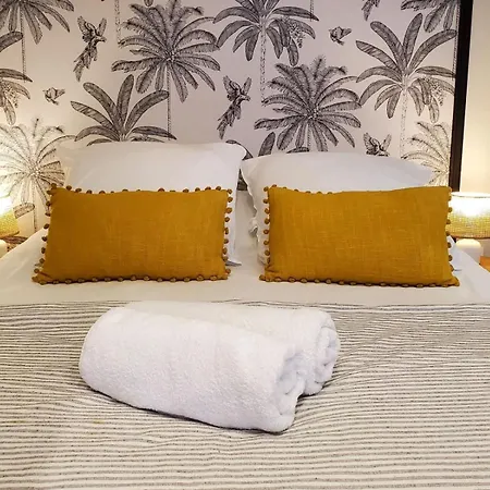 Le Petit Amandier Clim Wifi Centre Apartament Perpignan